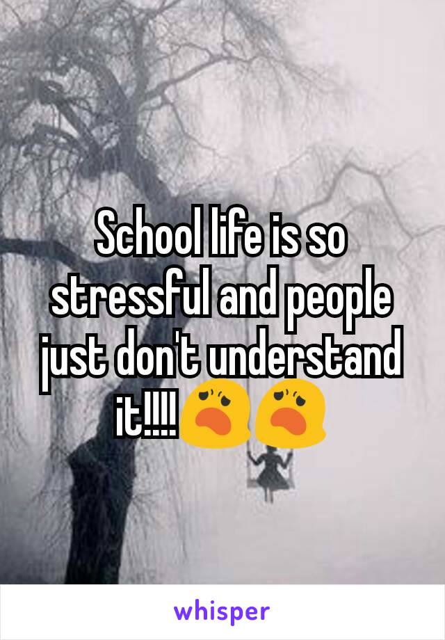 School life is so stressful and people just don't understand it!!!!😦😦
