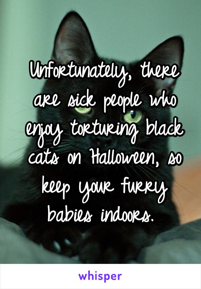 Unfortunately, there are sick people who enjoy torturing black cats on Halloween, so keep your furry babies indoors. 
