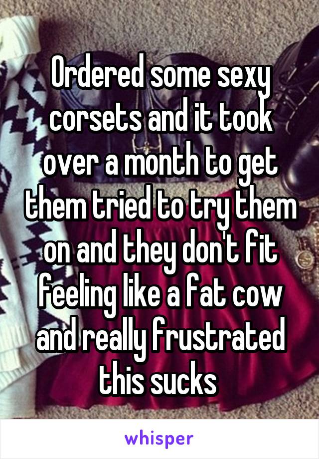 Ordered some sexy corsets and it took over a month to get them tried to try them on and they don't fit feeling like a fat cow and really frustrated this sucks 