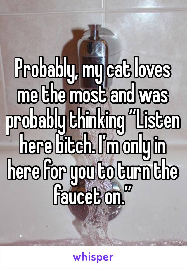 Probably, my cat loves me the most and was probably thinking “Listen here bitch. I’m only in here for you to turn the faucet on.”