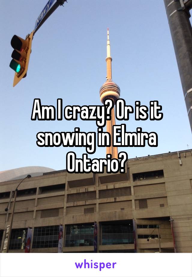 Am I crazy? Or is it snowing in Elmira Ontario?