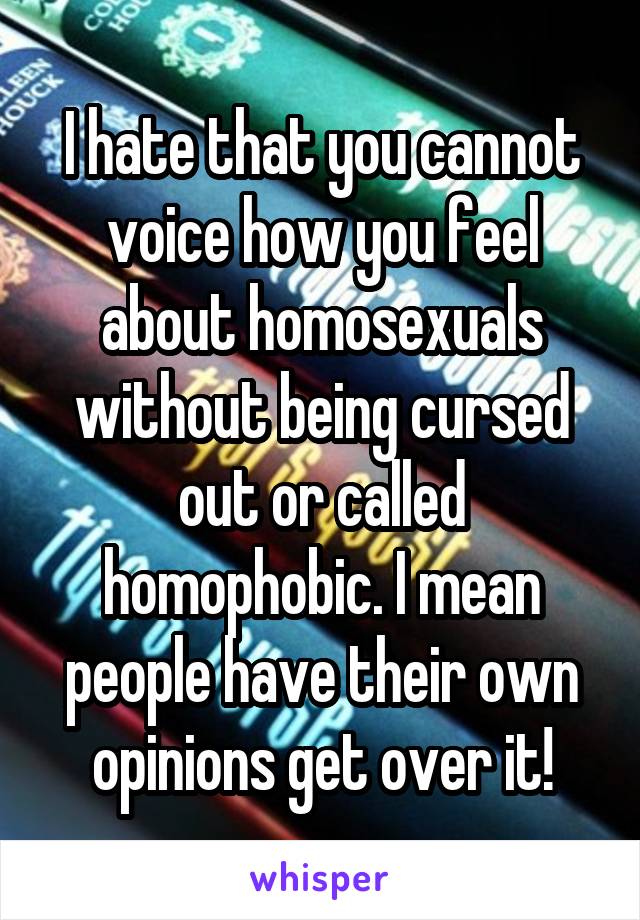 I hate that you cannot voice how you feel about homosexuals without being cursed out or called homophobic. I mean people have their own opinions get over it!