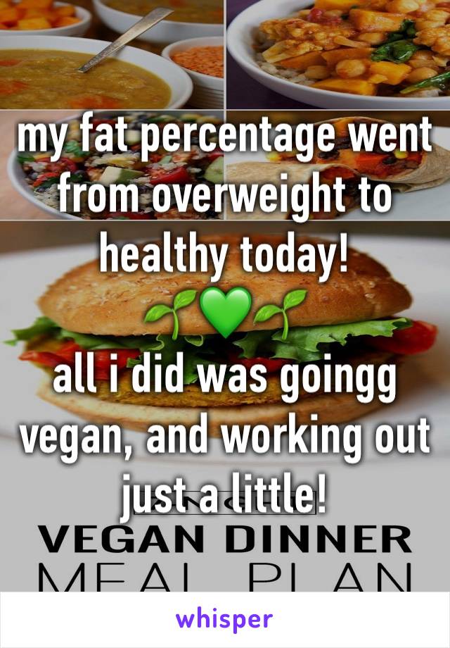 my fat percentage went from overweight to healthy today!
🌱💚🌱
all i did was goingg vegan, and working out just a little! 