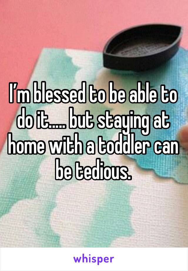 I’m blessed to be able to do it..... but staying at home with a toddler can be tedious.