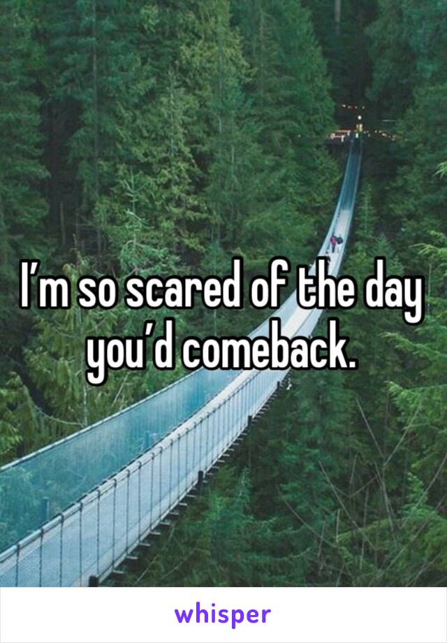 I’m so scared of the day you’d comeback. 