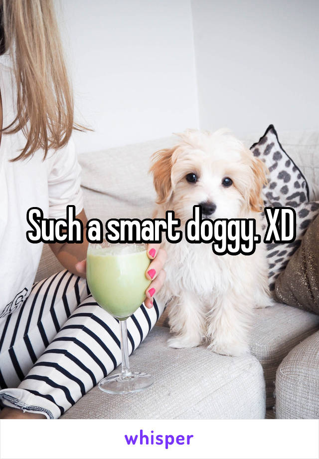 Such a smart doggy. XD