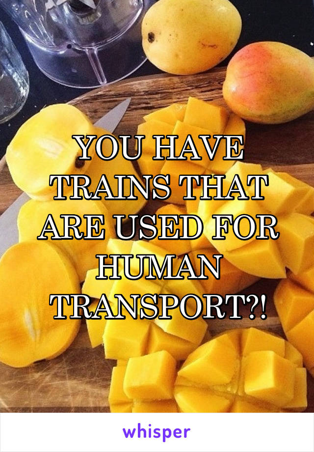 YOU HAVE TRAINS THAT ARE USED FOR HUMAN TRANSPORT?!