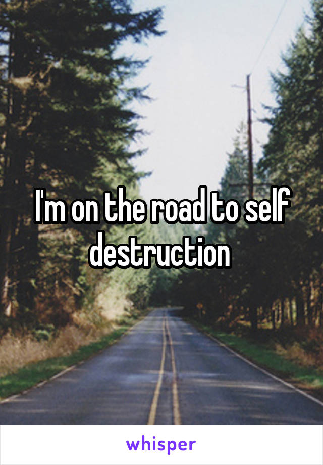 I'm on the road to self destruction 