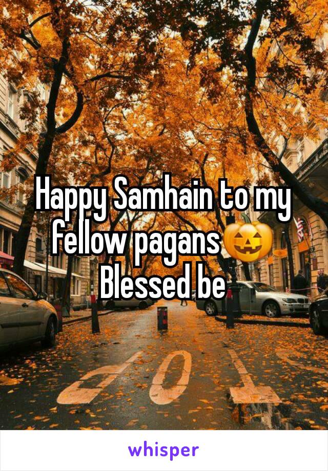 Happy Samhain to my fellow pagans🎃
Blessed be