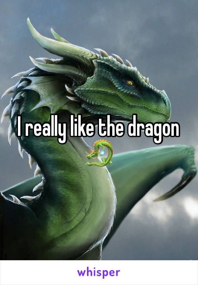 I really like the dragon 🐉 