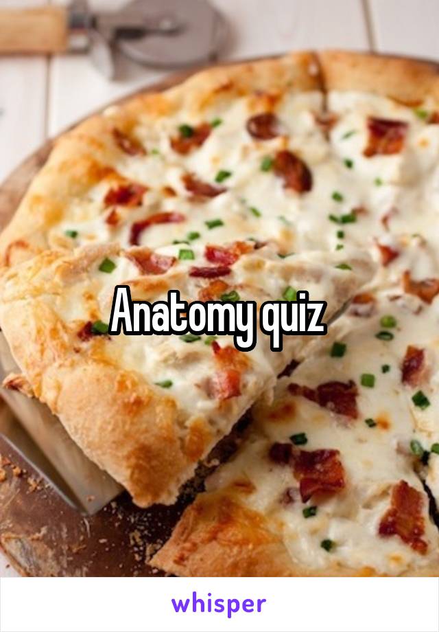 Anatomy quiz 