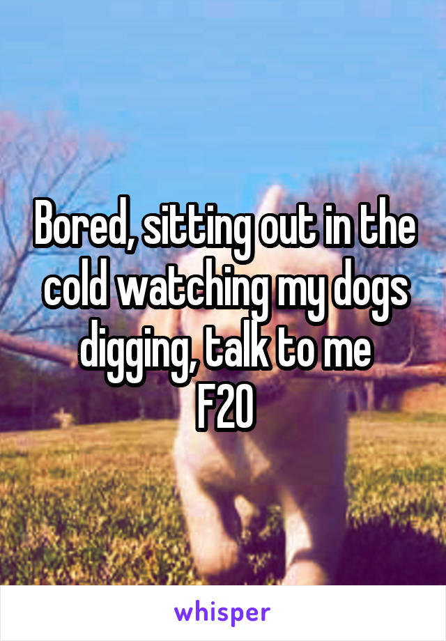 Bored, sitting out in the cold watching my dogs digging, talk to me
F20