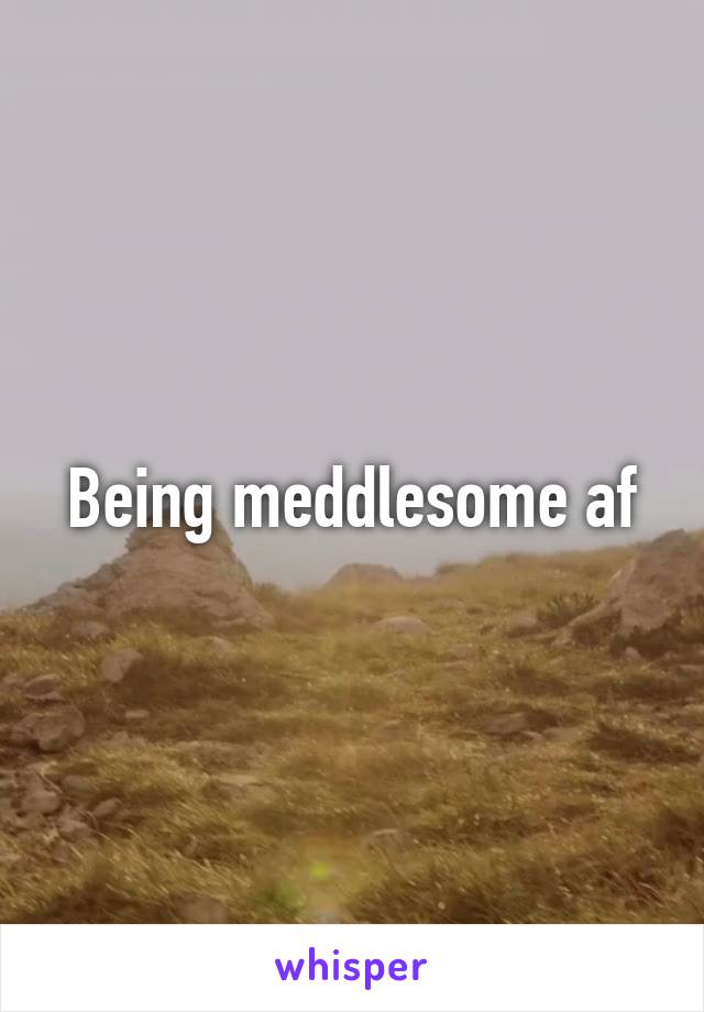 Being meddlesome af