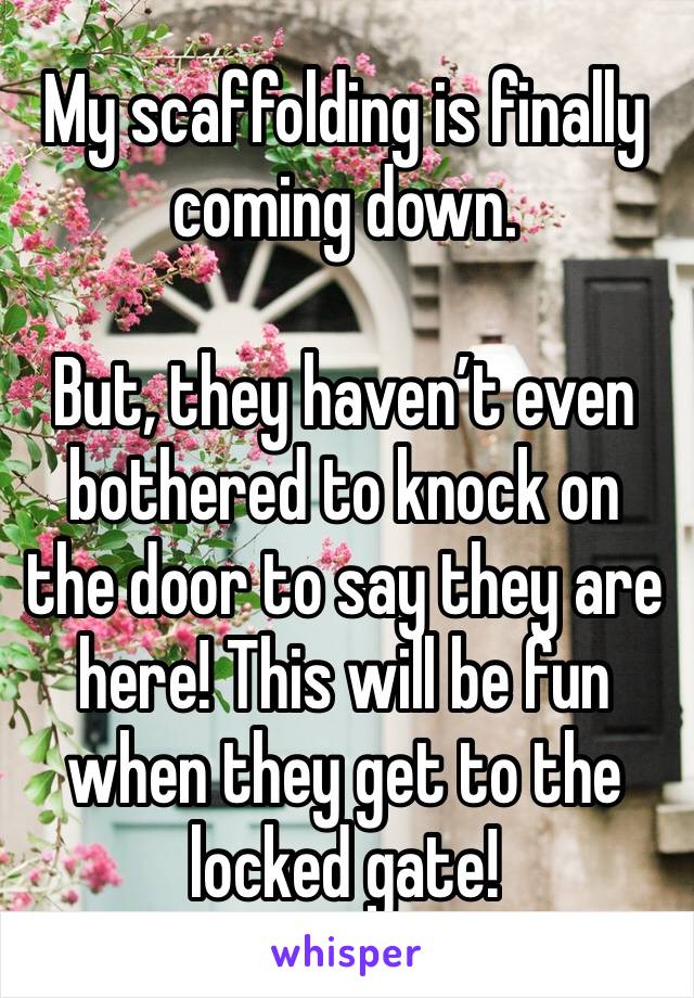 My scaffolding is finally coming down. 

But, they haven’t even bothered to knock on the door to say they are here! This will be fun when they get to the locked gate! 