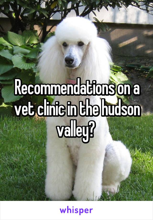 Recommendations on a vet clinic in the hudson valley? 