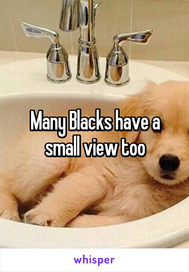 Many Blacks have a small view too
