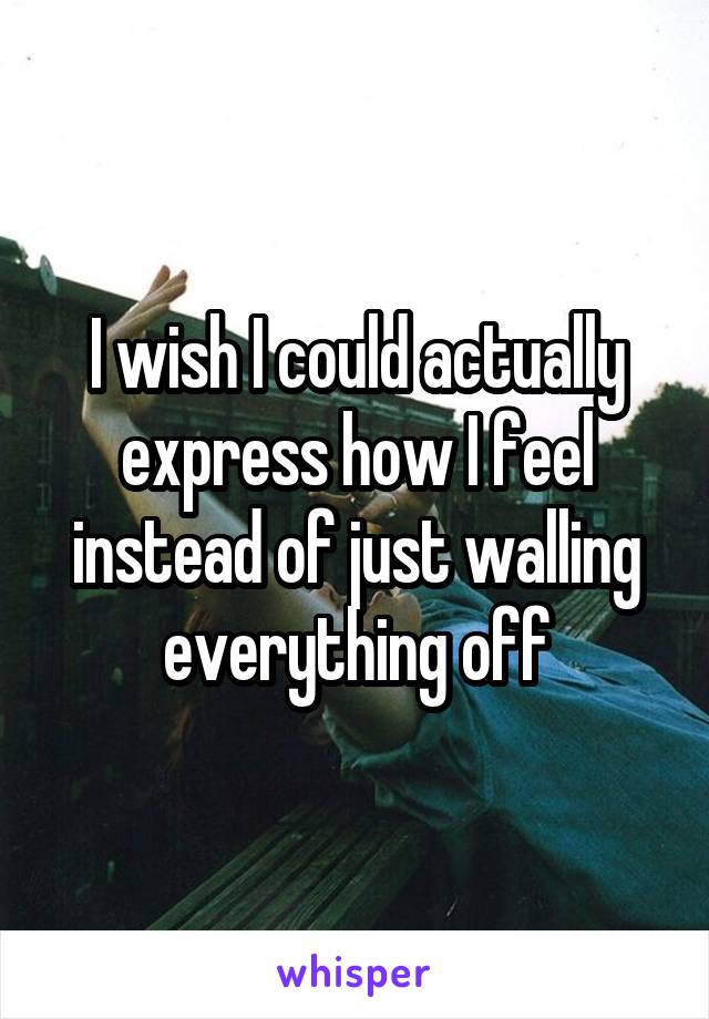 I wish I could actually express how I feel instead of just walling everything off