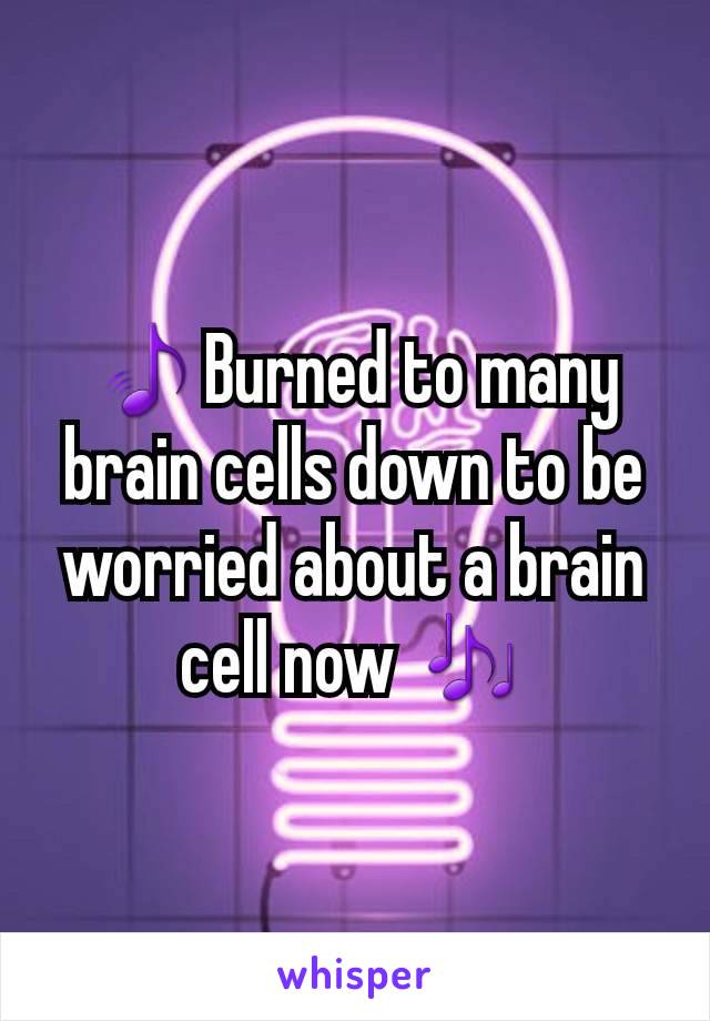 🎵Burned to many brain cells down to be worried about a brain cell now 🎶