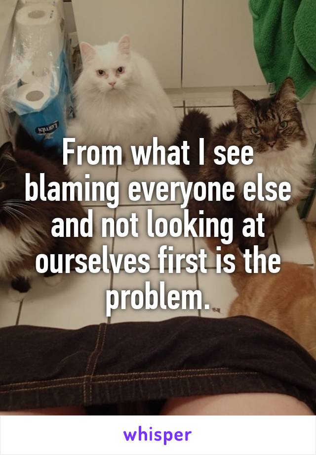 From what I see blaming everyone else and not looking at ourselves first is the problem.