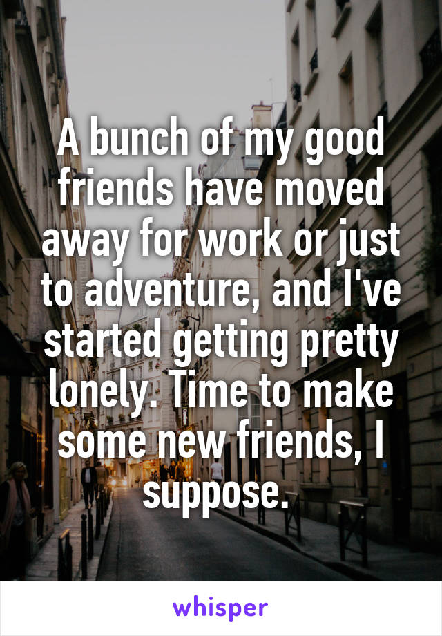 A bunch of my good friends have moved away for work or just to adventure, and I've started getting pretty lonely. Time to make some new friends, I suppose. 