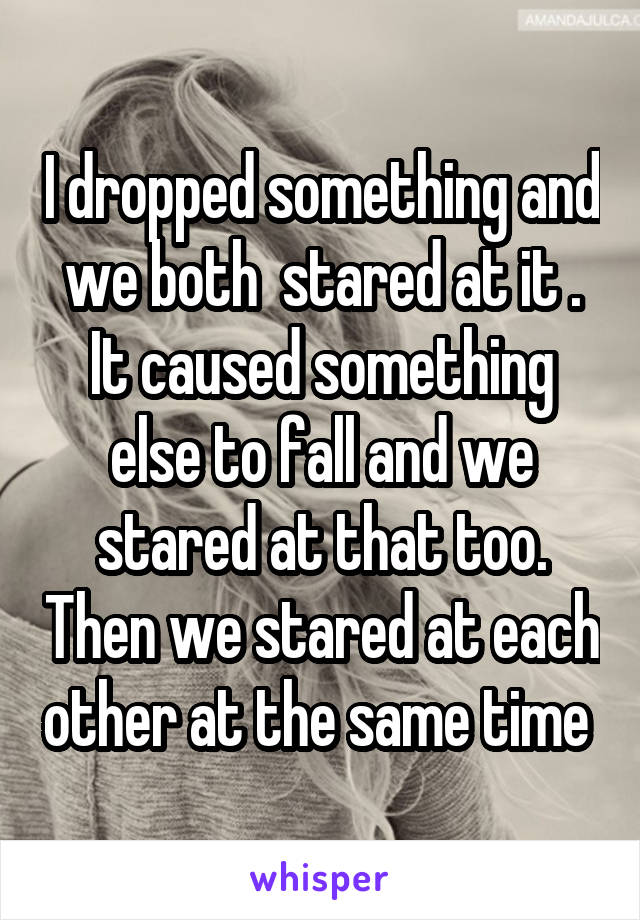 I dropped something and we both  stared at it . It caused something else to fall and we stared at that too. Then we stared at each other at the same time 