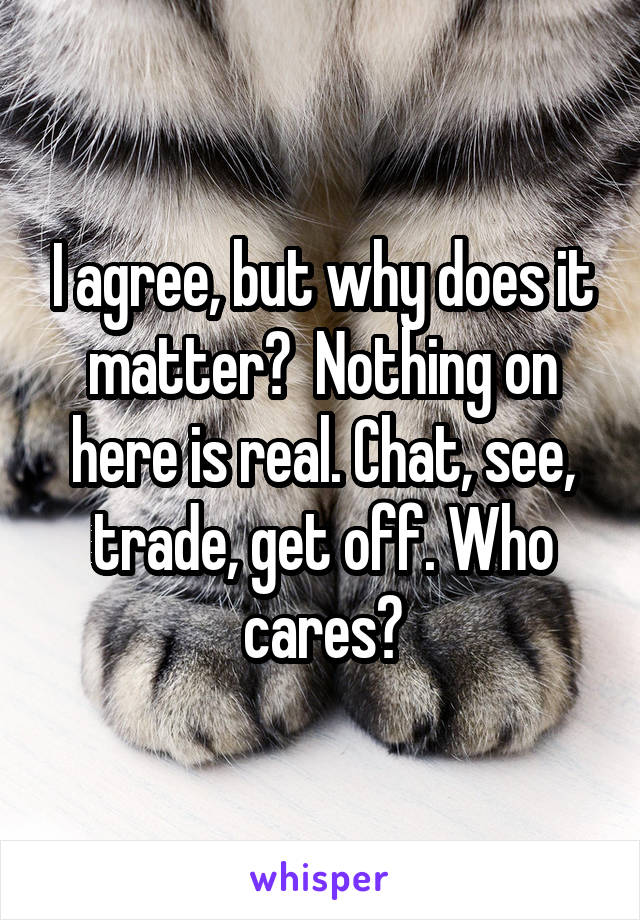 I agree, but why does it matter?  Nothing on here is real. Chat, see, trade, get off. Who cares?