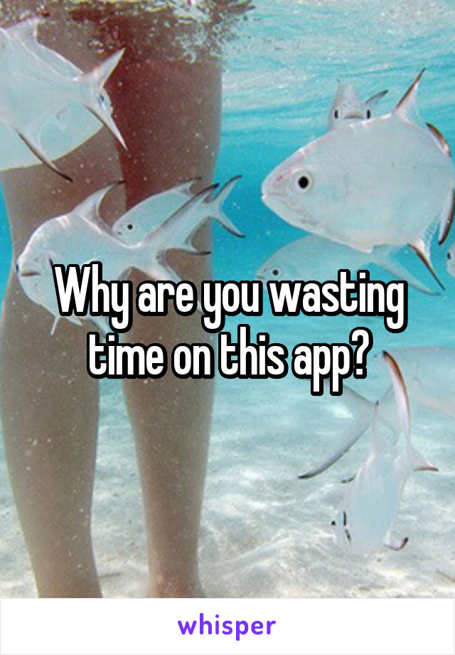 Why are you wasting time on this app?