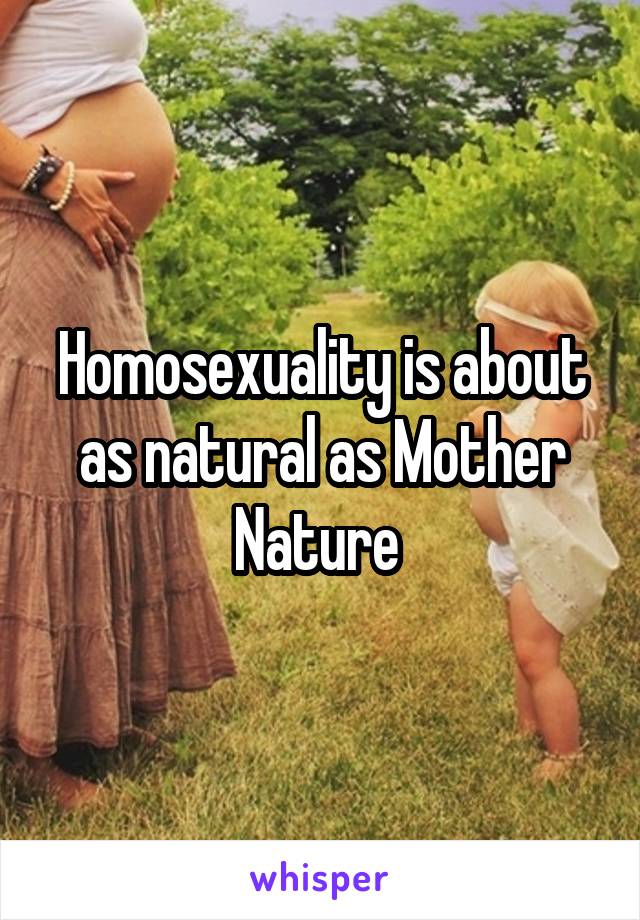 Homosexuality is about as natural as Mother Nature 