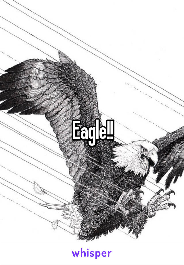 Eagle!!