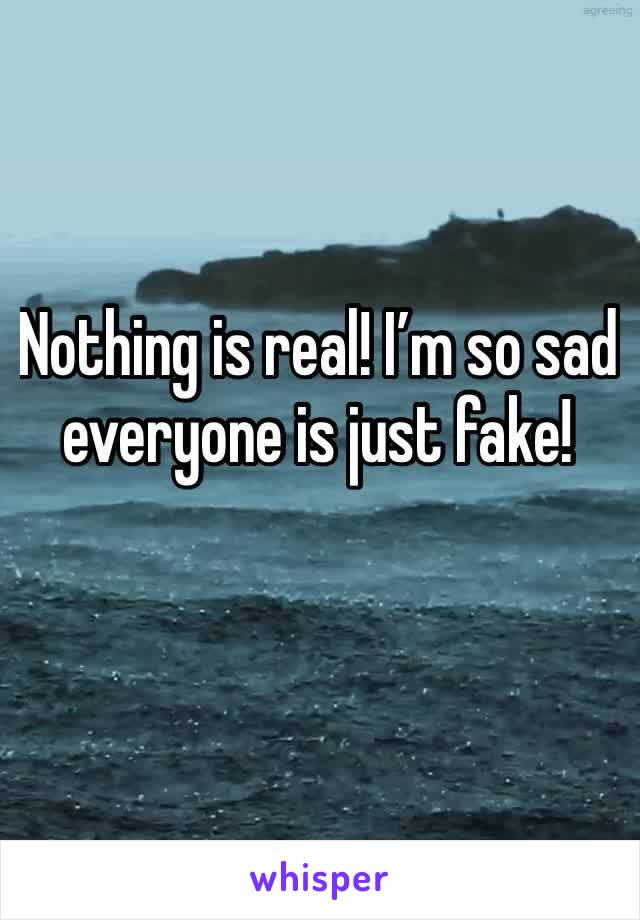 Nothing is real! I’m so sad everyone is just fake!