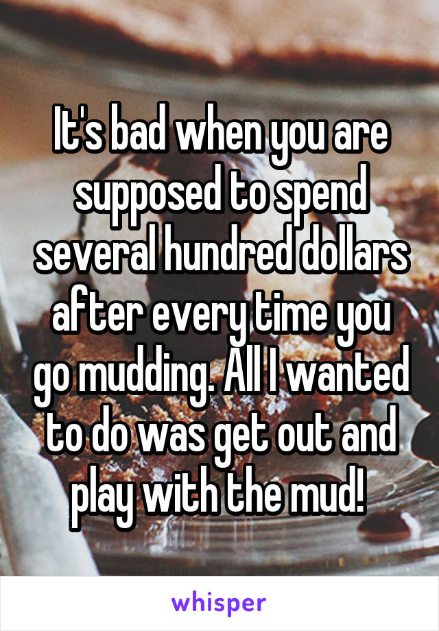 It's bad when you are supposed to spend several hundred dollars after every time you go mudding. All I wanted to do was get out and play with the mud! 