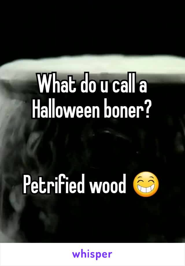 What do u call a Halloween boner?


Petrified wood 😁