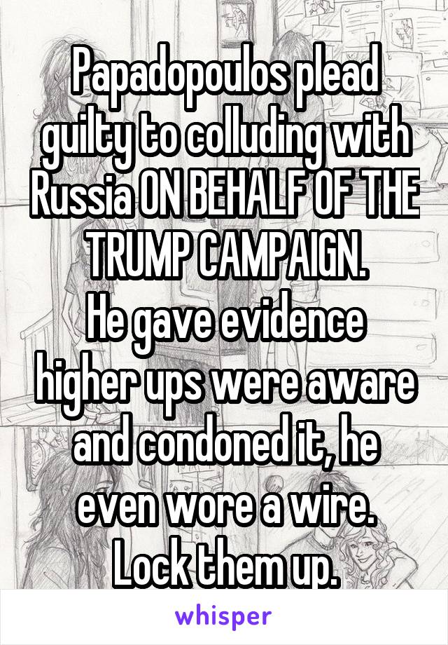 Papadopoulos plead guilty to colluding with Russia ON BEHALF OF THE TRUMP CAMPAIGN.
He gave evidence higher ups were aware and condoned it, he even wore a wire.
Lock them up.