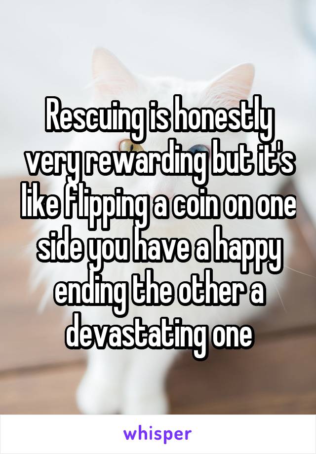 Rescuing is honestly very rewarding but it's like flipping a coin on one side you have a happy ending the other a devastating one