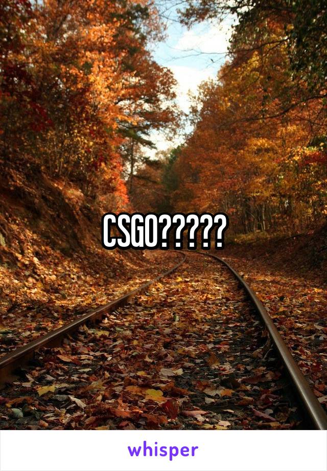 CSGO?????