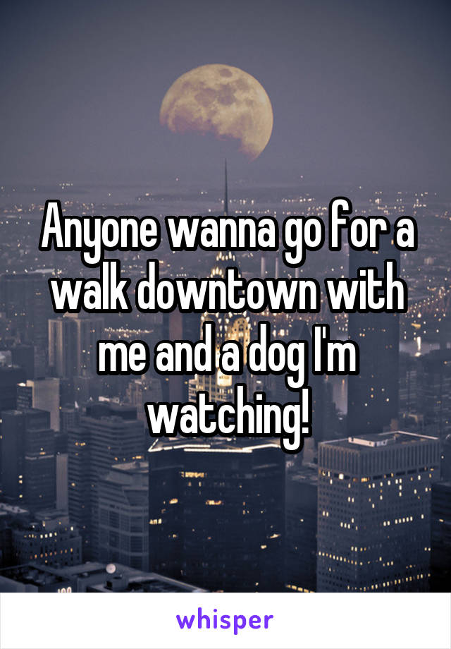 Anyone wanna go for a walk downtown with me and a dog I'm watching!