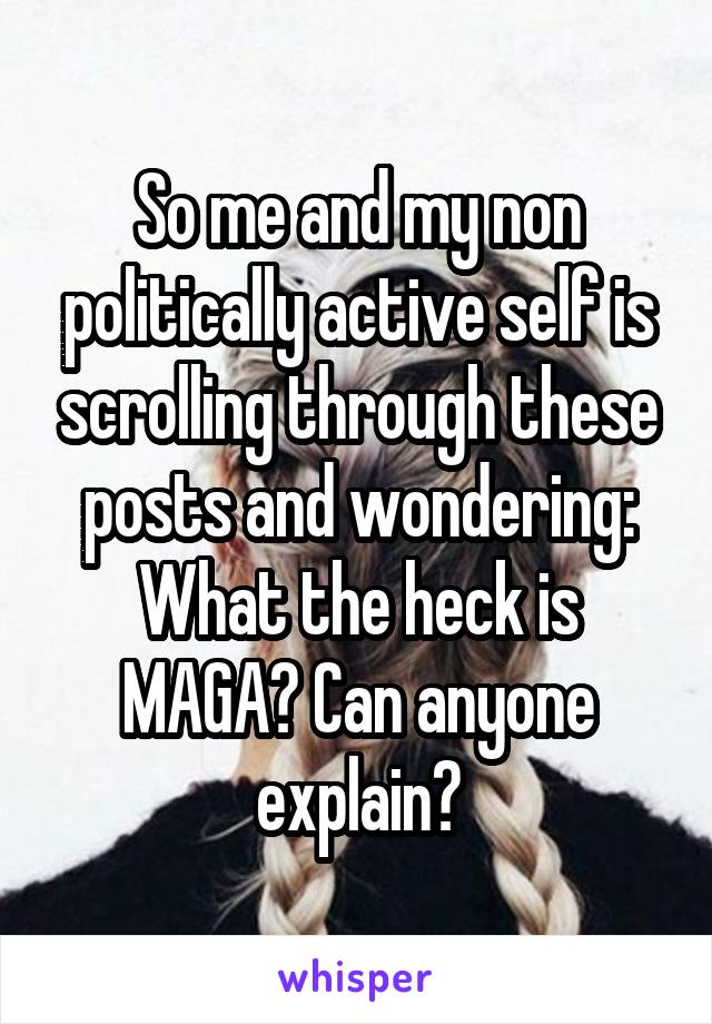 So me and my non politically active self is scrolling through these posts and wondering: What the heck is MAGA? Can anyone explain?