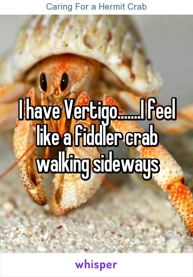 I have Vertigo.......I feel like a fiddler crab walking sideways