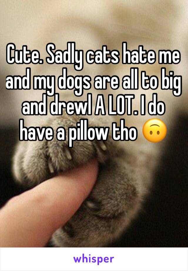 Cute. Sadly cats hate me and my dogs are all to big and drewl A LOT. I do have a pillow tho 🙃