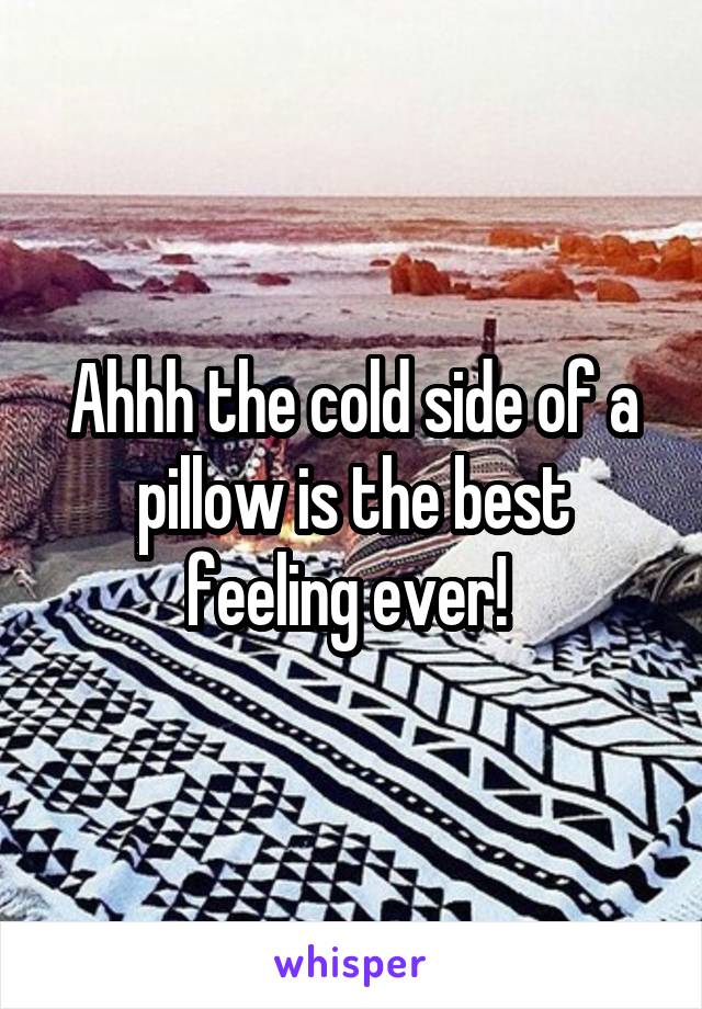 Ahhh the cold side of a pillow is the best feeling ever! 