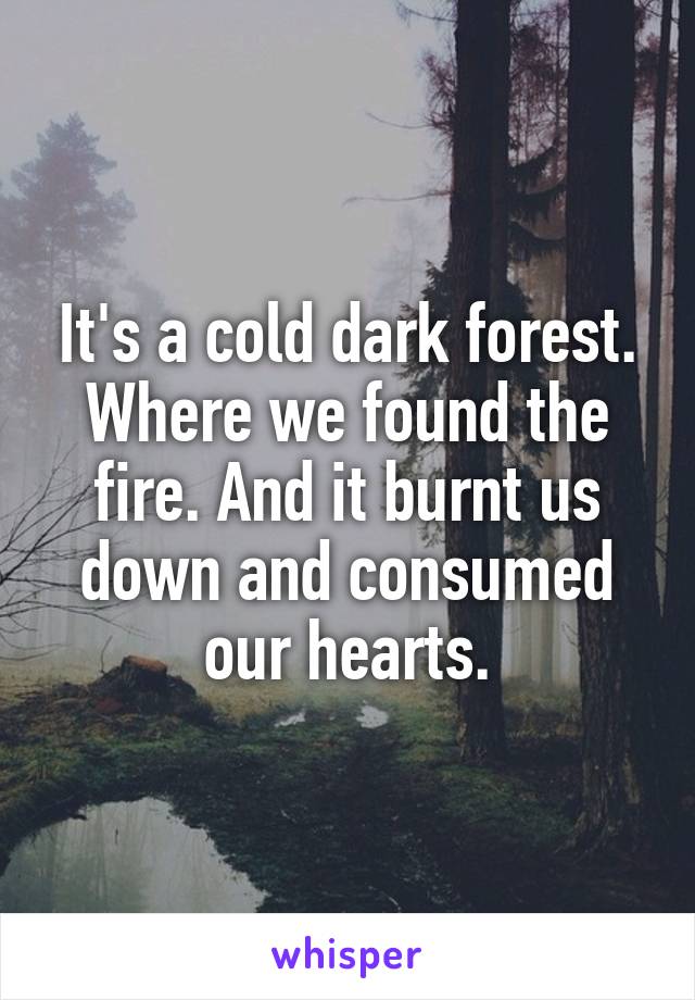 It's a cold dark forest. Where we found the fire. And it burnt us down and consumed our hearts.