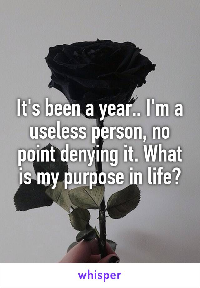 It's been a year.. I'm a useless person, no point denying it. What is my purpose in life?