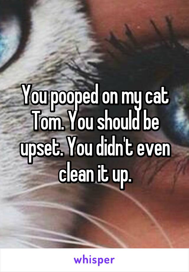 You pooped on my cat Tom. You should be upset. You didn't even clean it up.