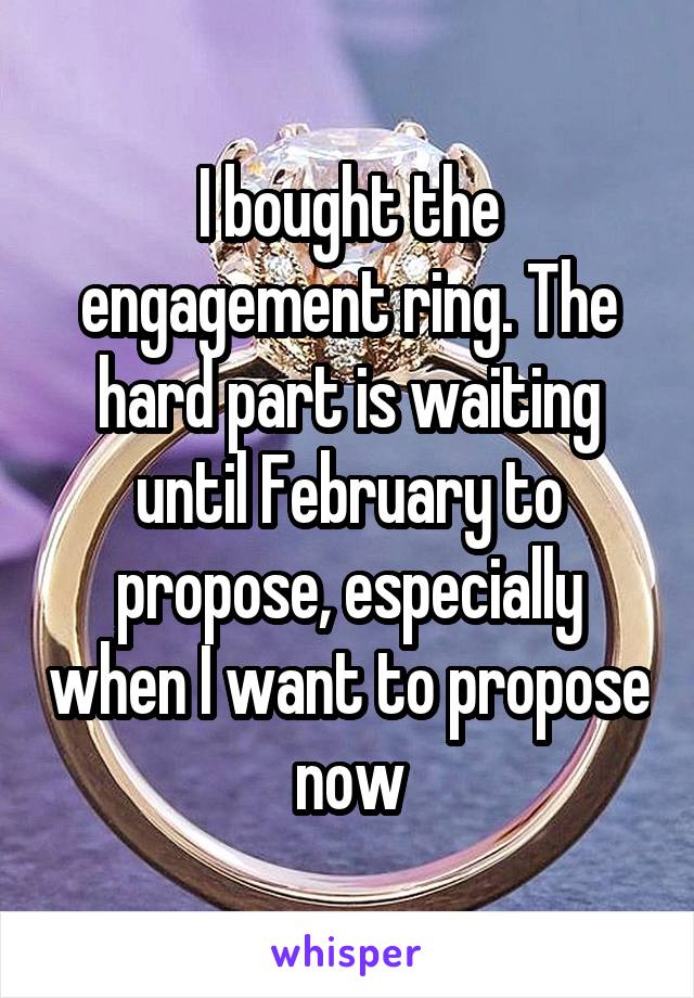 I bought the engagement ring. The hard part is waiting until February to propose, especially when I want to propose now