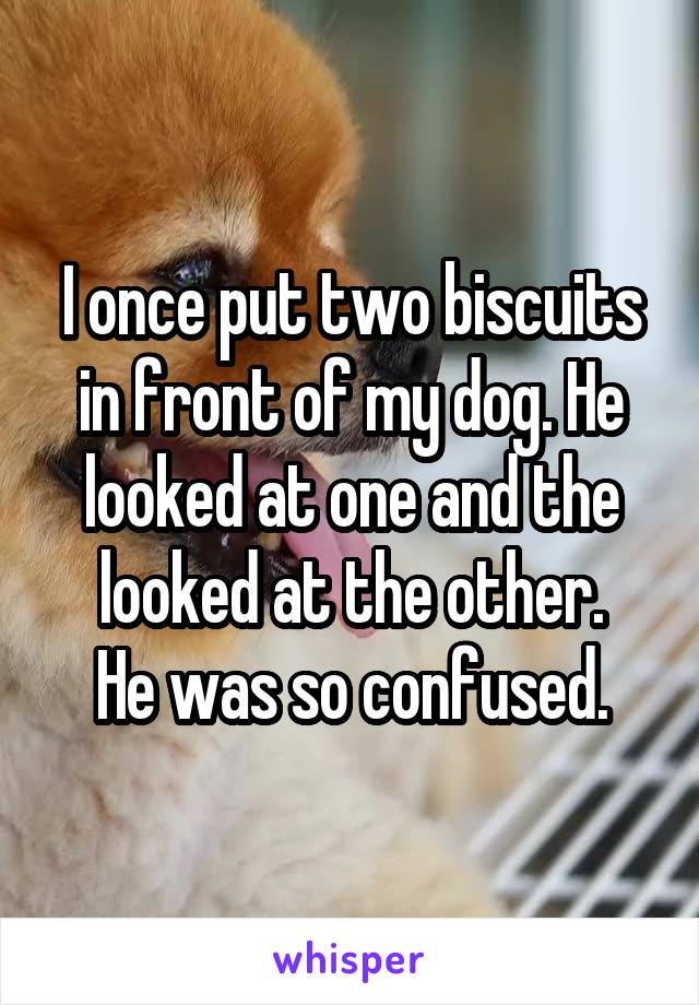 I once put two biscuits in front of my dog. He looked at one and the looked at the other.
He was so confused.
