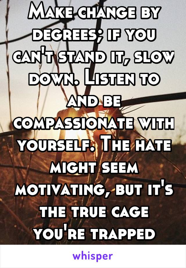 Make change by degrees; if you can't stand it, slow down. Listen to and be compassionate with yourself. The hate might seem motivating, but it's the true cage you're trapped inside.