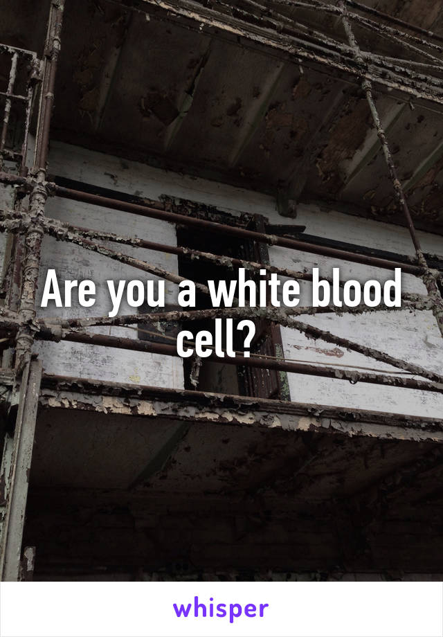 Are you a white blood cell? 