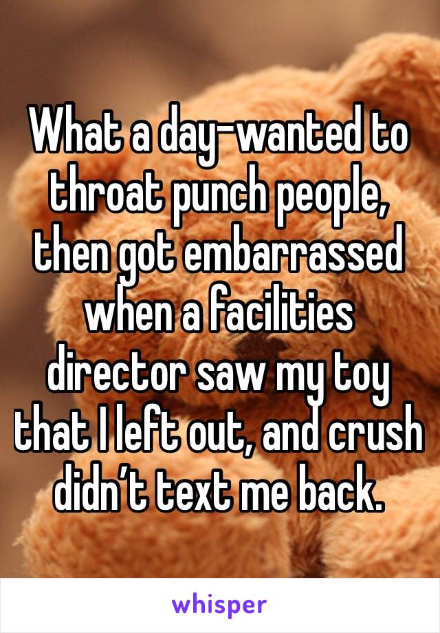 What a day-wanted to throat punch people, then got embarrassed when a facilities director saw my toy that I left out, and crush didn’t text me back.