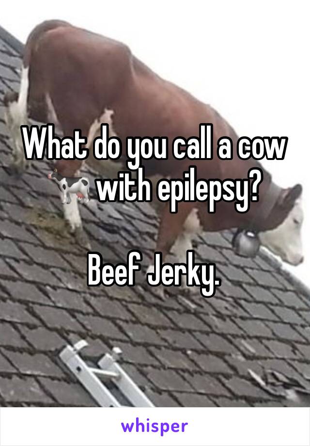 What do you call a cow 🐄 with epilepsy?

Beef Jerky.