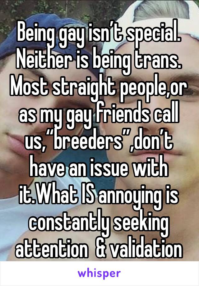 Being gay isn’t special. Neither is being trans.
Most straight people,or as my gay friends call us,“breeders”,don’t have an issue with it.What IS annoying is constantly seeking attention  & validation